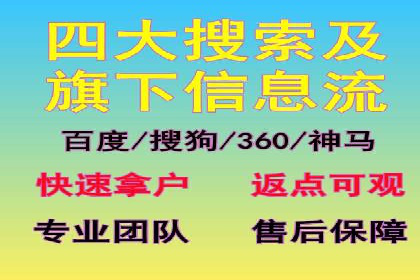 某电商平台的SEM广告投放全流程解析